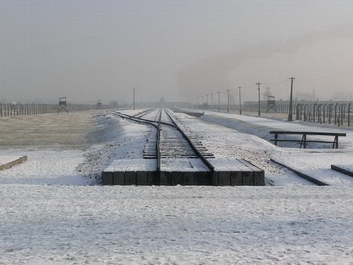 Auschwitzbesichtigung – Bild 25 von 95