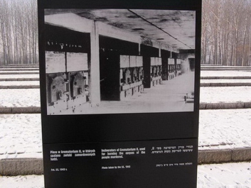 Auschwitzbesichtigung – Bild 14 von 95