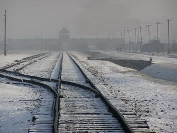 Auschwitzbesichtigung – Bild 26 von 95