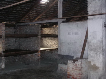 Auschwitzbesichtigung – Bild 36 von 95