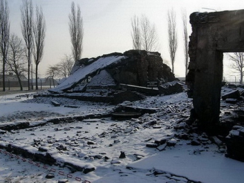 Auschwitzbesichtigung – Bild 17 von 95