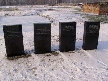 Auschwitzbesichtigung – Bild 18 von 95
