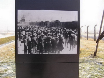 Auschwitzbesichtigung – Bild 9 von 95