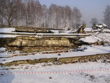 Auschwitzbesichtigung – Bild 31 von 95