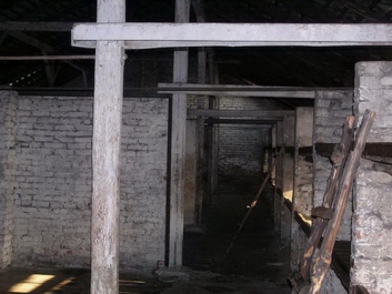 Auschwitzbesichtigung – Bild 37 von 95