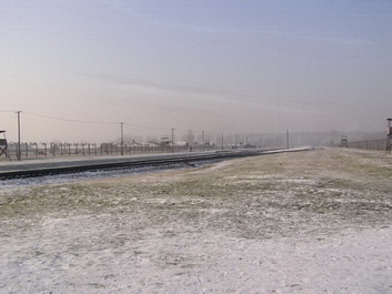 Auschwitzbesichtigung – Bild 3 von 95