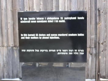 Auschwitzbesichtigung – Bild 45 von 95