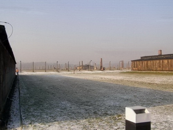 Auschwitzbesichtigung – Bild 7 von 95