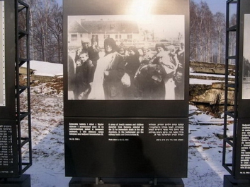 Auschwitzbesichtigung – Bild 30 von 95