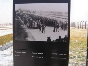 Auschwitzbesichtigung – Bild 10 von 95