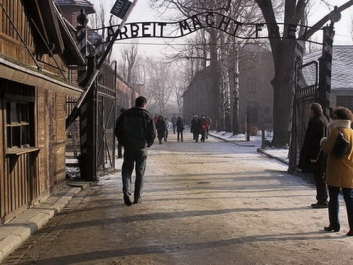 Auschwitzbesichtigung – Bild 56 von 95