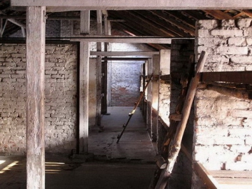 Auschwitzbesichtigung – Bild 38 von 95