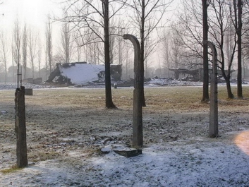 Auschwitzbesichtigung – Bild 11 von 95