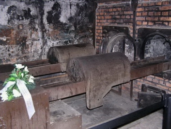 Auschwitzbesichtigung – Bild 93 von 95