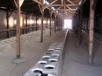 Auschwitzbesichtigung – Bild 4 von 95