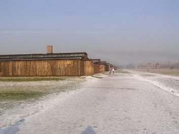 Auschwitzbesichtigung – Bild 6 von 95