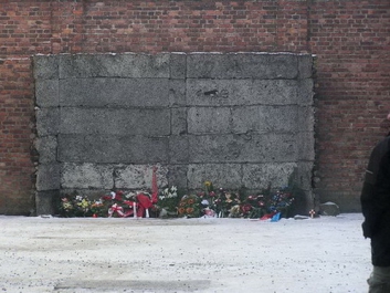 Auschwitzbesichtigung – Bild 78 von 95