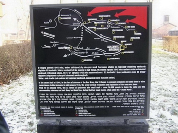 Auschwitzbesichtigung – Bild 48 von 95