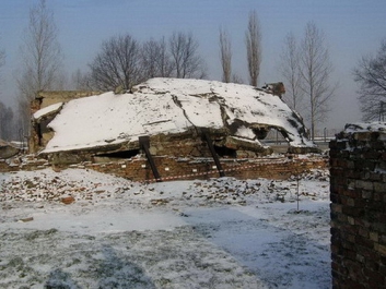 Auschwitzbesichtigung – Bild 21 von 95