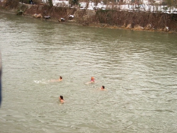Donauschwimmen – Bild 13 von 21