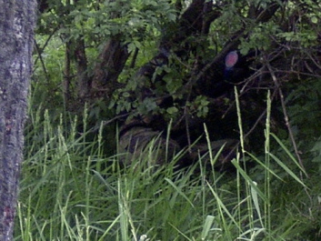 Paintball – Bild 10 von 103