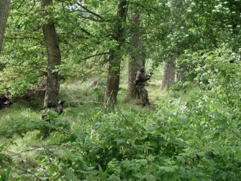 Paintball – Bild 36 von 103
