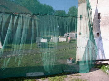 Paintball – Bild 2 von 114