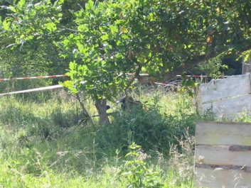 Paintball – Bild 160 von 222