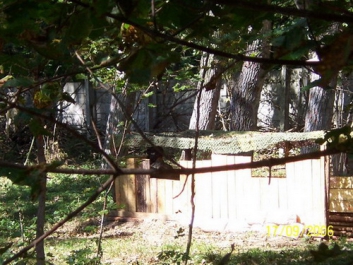 Paintball – Bild 96 von 131