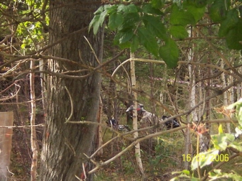 Paintball – Bild 30 von 131