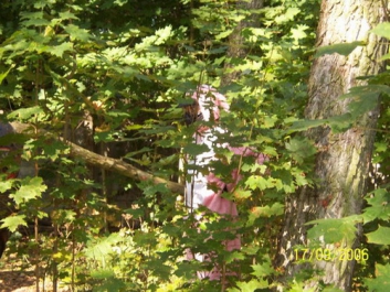Paintball – Bild 85 von 131