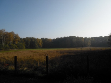 Panzerfahrschule – Bild 13 von 40