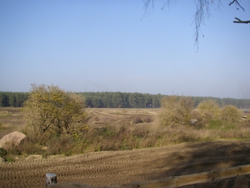 Panzerfahrschule – Bild 24 von 40