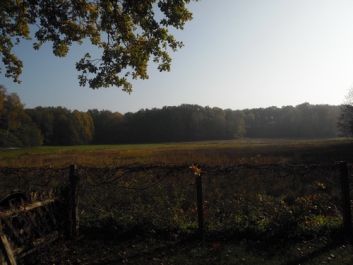 Panzerfahrschule – Bild 15 von 40