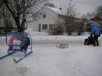 Schlittenfahren – Bild 4 von 12