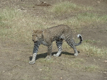 Urlaub Afrika – Bild 229 von 352