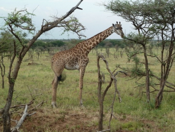 Urlaub Afrika – Bild 61 von 352