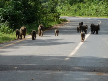 Urlaub Afrika – Bild 21 von 352