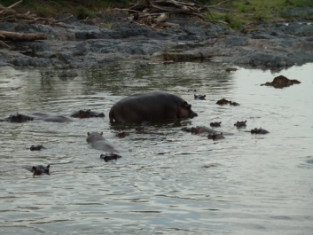 Urlaub Afrika – Bild 207 von 352