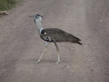 Urlaub Afrika – Bild 176 von 352