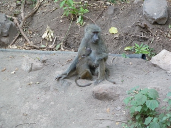 Urlaub Afrika – Bild 10 von 352