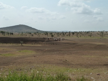 Urlaub Afrika – Bild 141 von 352