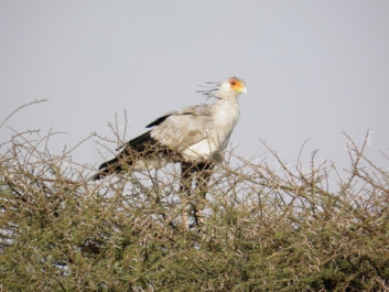 Urlaub Afrika – Bild 330 von 352