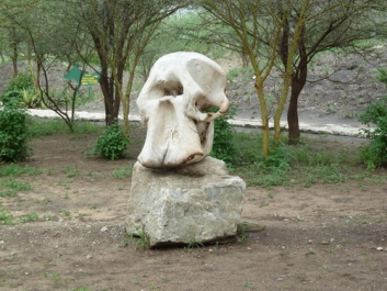 Urlaub Afrika – Bild 78 von 352
