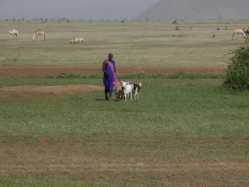 Urlaub Afrika – Bild 272 von 352