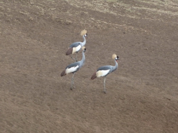 Urlaub Afrika – Bild 187 von 352