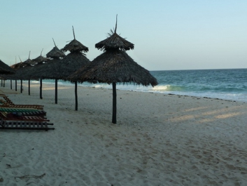 Urlaub Afrika – Bild 131 von 352