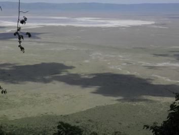 Urlaub Afrika – Bild 280 von 352