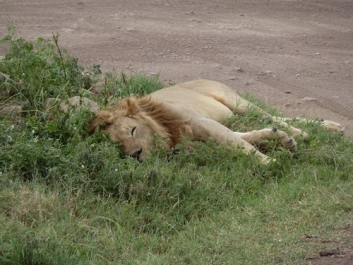 Urlaub Afrika – Bild 186 von 352