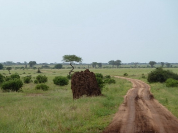 Urlaub Afrika – Bild 246 von 352